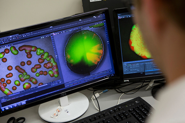 Computational Biology, Master of Science (M.Sc.)